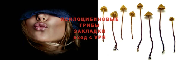 соль ск Михайлов