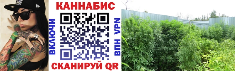 Марихуана LSD WEED  блэк спрут ссылки  Ковылкино 